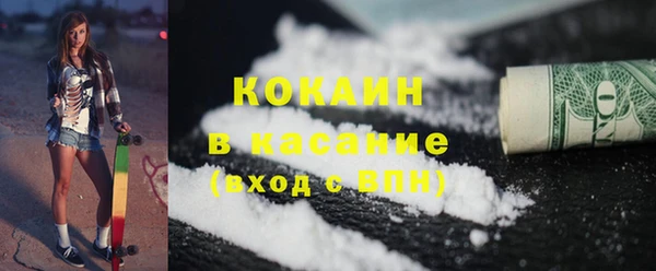 тгк Инсар