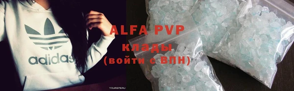стафф Инта